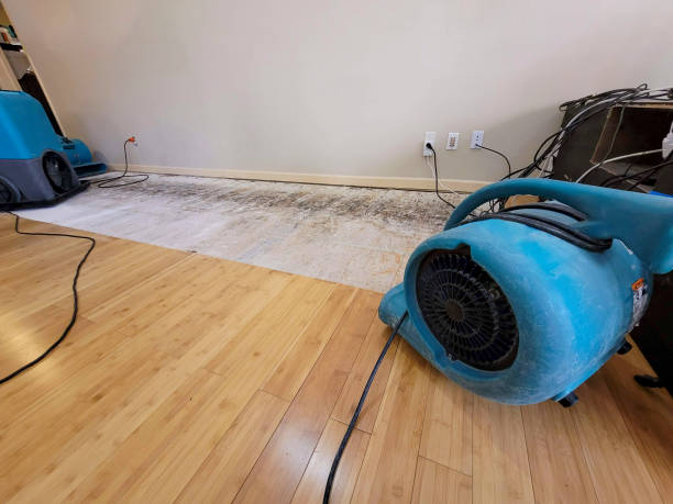 Professional Ceiling Water Damage Repair technician working in Toledo, OH